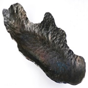 Schalen